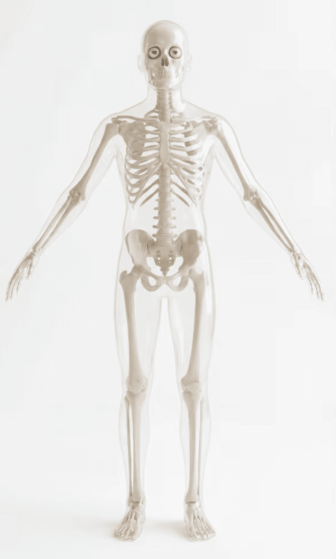 Example of the 3D transparent skeleton character style used in viral AI skeleton videos